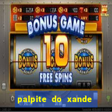 palpite do xande para hoje